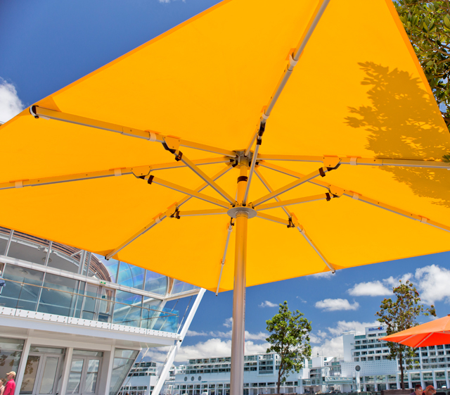 Arbor Umbrellas